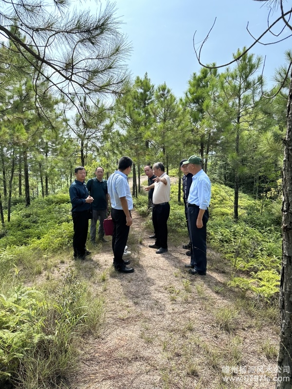 宁德市学杨公风水跟陈荣昌老师实在